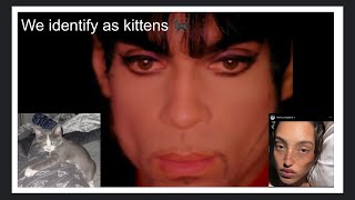 prince - Mona - homosexuality