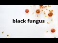 Black fungus