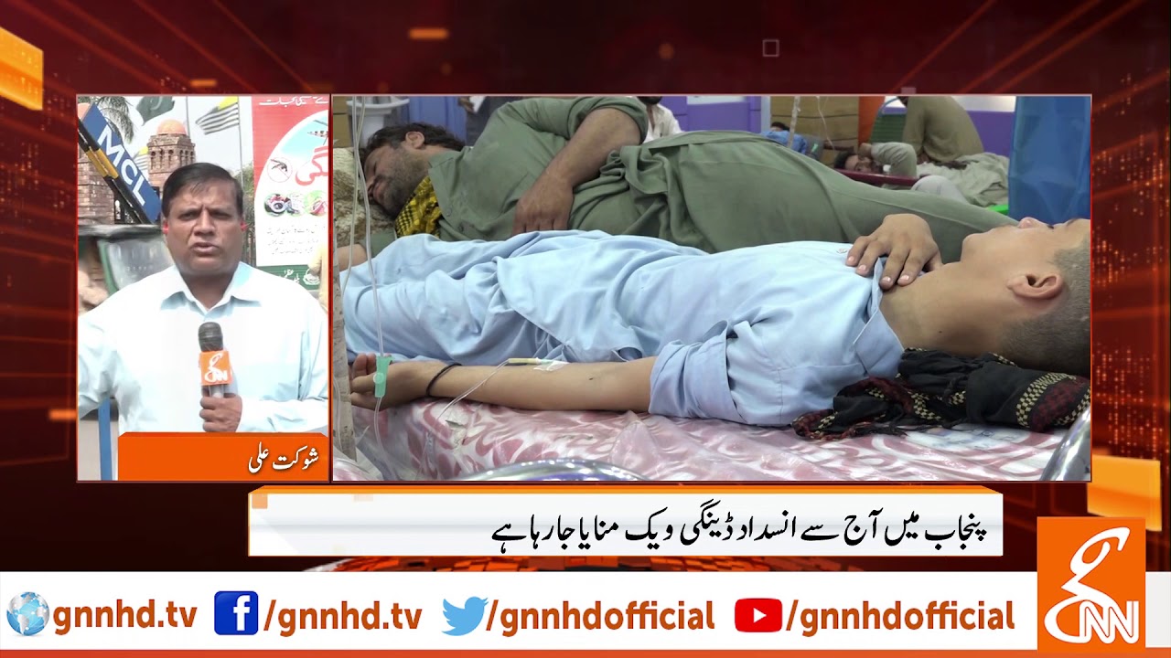 live streaming rmc sport Uncontrollable dengue fever continues to affect people in Pakistan l 16 Sep 2019