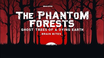 The Phantom Forests: Ghost Trees of a Dying Earth | Brain Bites