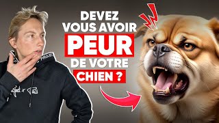 Devez Vous Avoir Peur De Votre Chien ?