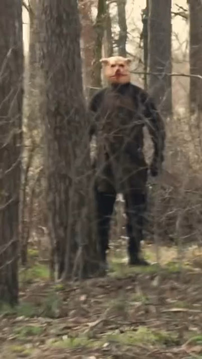 Pigman is watching for you