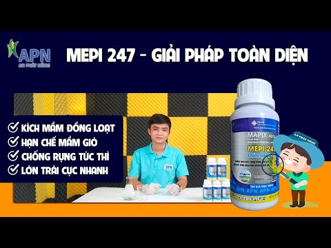 APN - MEPI 247 GIẢI PHÁP MỚI CHO MÙA SẦU RIÊNG 2023| TẠO MẦM ĐỒNG LOẠT - CHỐNG RỤNG TỨC THÌ