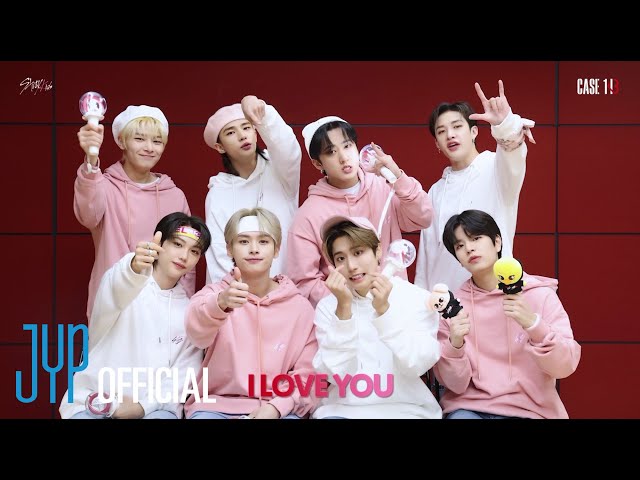 Stray Kids CASE 143 (Feat. STAY) Guide Video class=