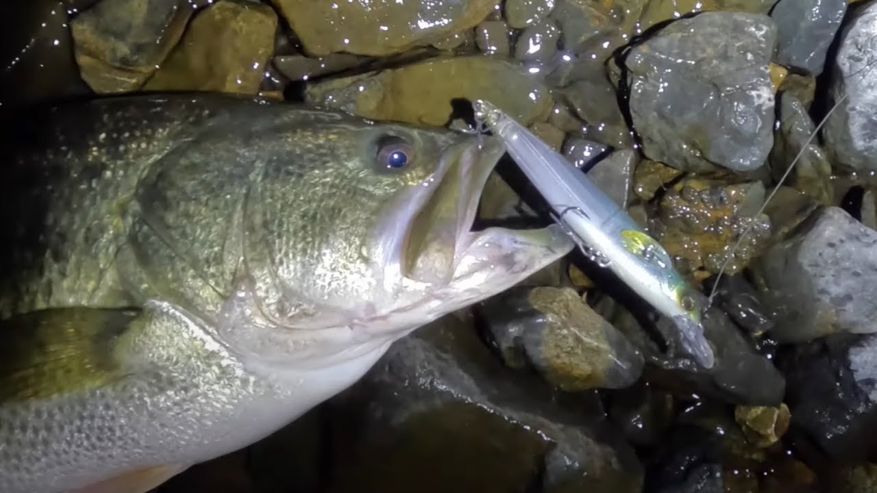 ルアー開発者が冬の琵琶湖産ブラックバスを釣り上げるまでの軌跡 - YouTube