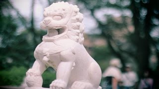 New FD50mm F1.4 レンズってどうなの