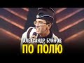 Александр Буйнов - По полю