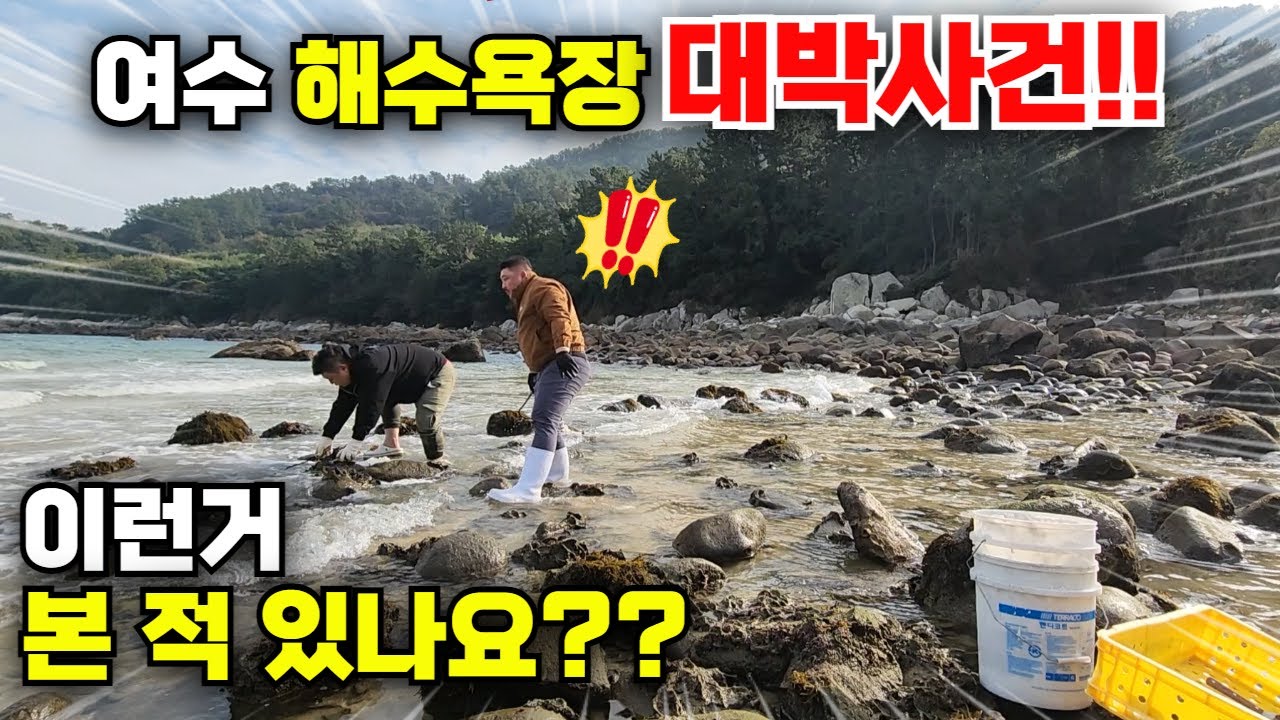 여수 해수욕장 대박사건!! 널려 있는 고급 술안주 스케일 장난없다!! (굴, 바위굴, 너무 커서 깜짝 놀랬어요)