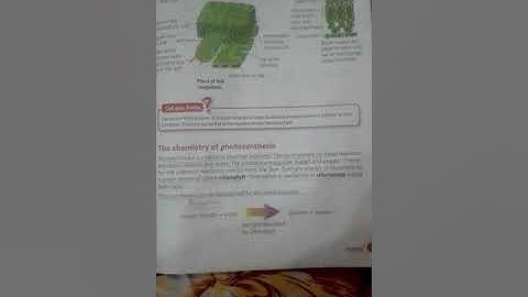 VI - SCI - Unit 5: Plants and Photosynthesis (Pg:69-71)