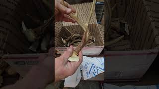 #unboxing #flint-knapping from Brennon!