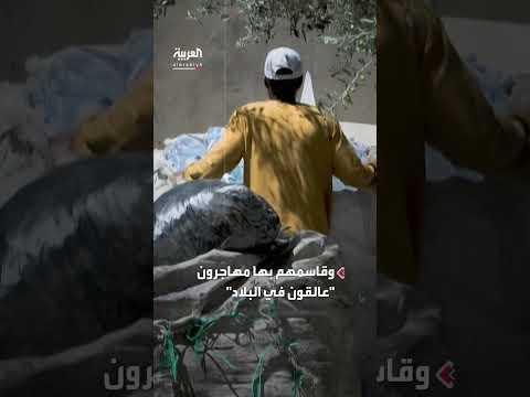 واقع مهنة جمع الخردة وتأثيرها الاجتماعي والصحي