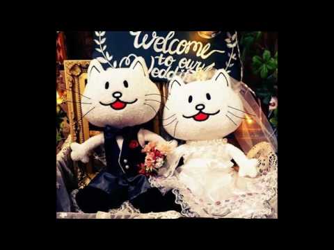 結婚式 サプライズ Bump Of Chickenテーマの猫 ニコル 画像集 Youtube