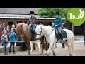 Reiterfreuden (Folge 16) | Tiere bis unters Dach | SWR Plus