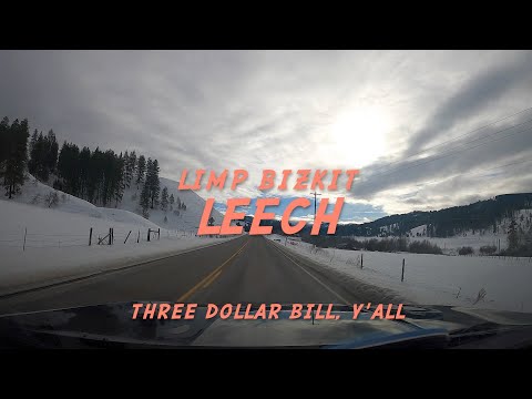 Limp Bizkit - Leech (Lyrics)
