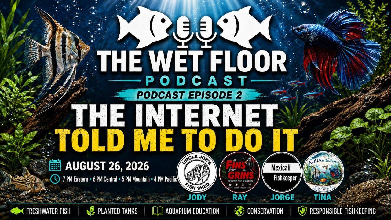 "The Wet Floor" Aquarium Podcast : The Internet Told Me Do It.  WFP S01 E02