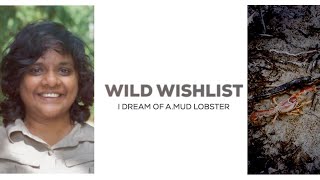 Wild Wishlist Pooja Gupta Dreams Of A Mud Lobster