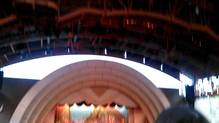 Fun at Disney World
