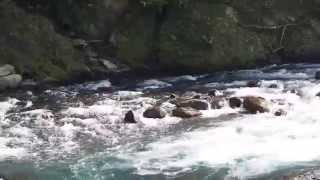 1031223烏來福山南勢溪水質水量