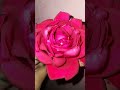 ❤️💐Rose Flower💥 #shortsfeed #shorts #short #shortsvideo #shortvideo #drawing #shortsviral #ytshorts