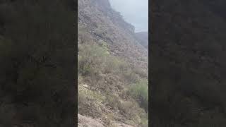 Los cerros de san Javier bcs mexico para el mundo