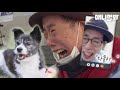 세상에서 가장 안타까운 이별.. 할아버지와 강아지 차돌이 최근 근황ㅣAs The Guardian Gets Dementia, For A Year The Dog..