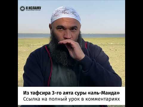 Если пришёл запрет на мясо свиньи, дозволены ли оставшиеся её части, как сало и т.п? #Shorts