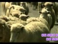 anak kambing Lagu anak tradisional zaman dulu kecil tak terlupakan versi asli Pas banget untuk hibur