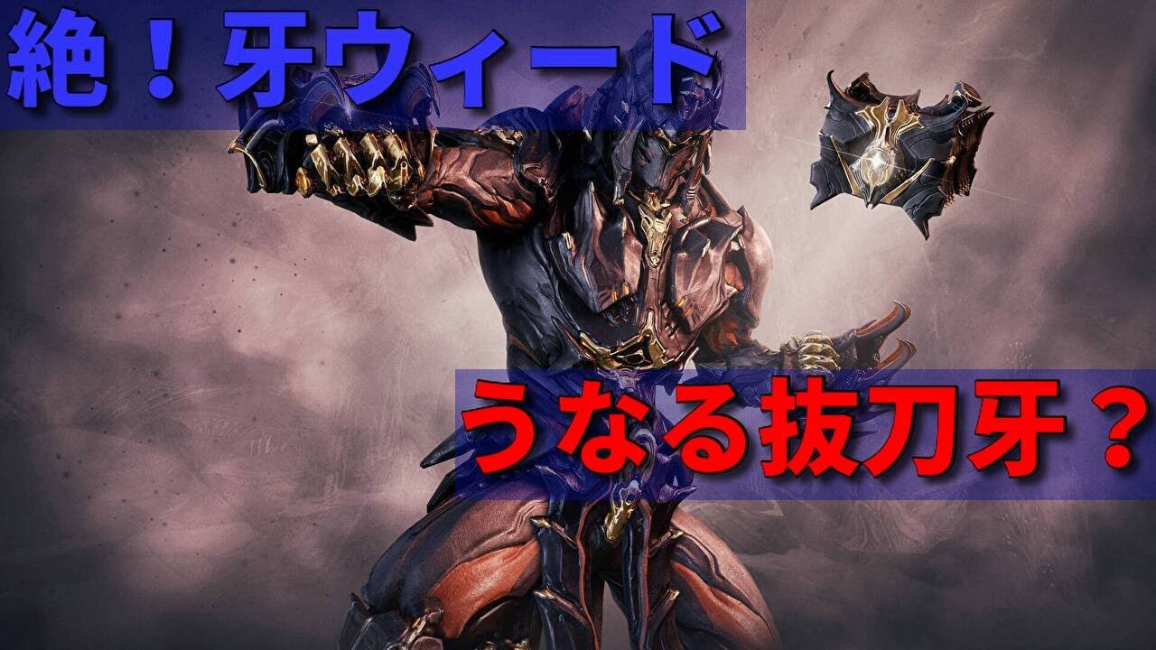 Warframe 俺だけ最強なテンノの件 歴史が長い TCG TC ベスト3は？