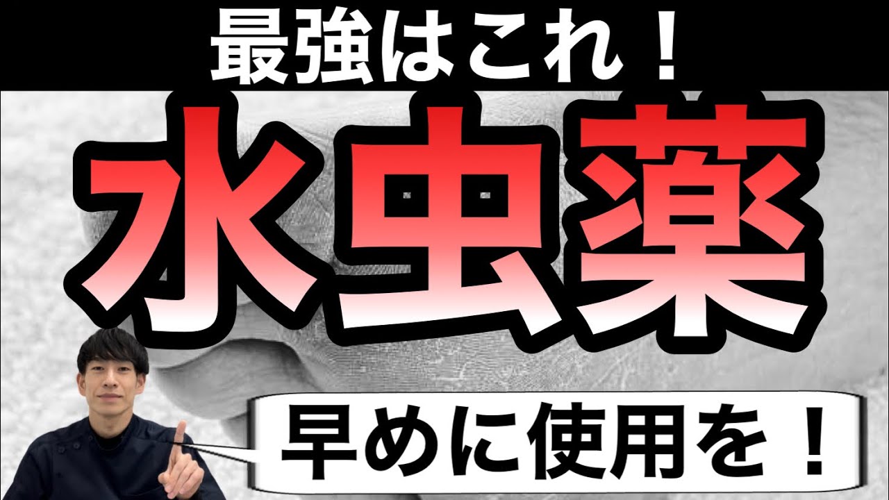 【迷ったらこれ！】市販の水虫薬のおすすめNo1商品を薬剤師が解説【ほのぼの薬局大阪】