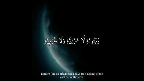 الله نور السموات والأرض| سورة النور/شيخ أبو بكر الشاطري 💙