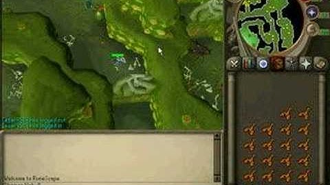 testing hypercam 2 in runescape