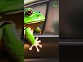 What happens to a frog's car when it breaks down? #shorts