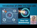 Introduction of rDNA into host cells I Transformation I Microinjection I Electroporation I Gene Gun