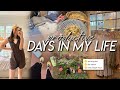 DAYS IN MY LIFE | life admin day, free people haul, working out, baking muffins, &amp; starting solids!