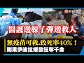 無疫苗可救、致死率40%！民主剛果伊波拉奪命破千 醫護絕境戰火中搶命！｜#寰宇新聞 @globalnewstw​