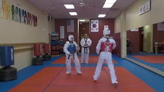 Understanding Taekwondo Sparring