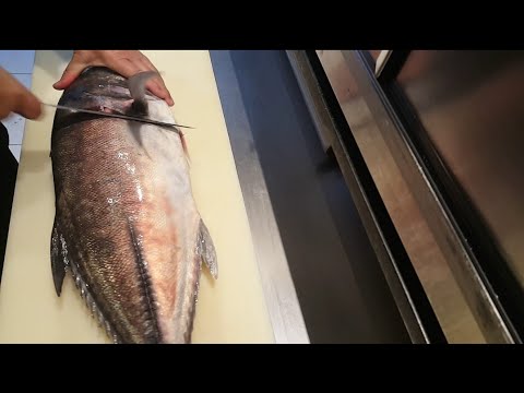 Xareu/Carapau místico peixe muito bom para sushi e sashimi