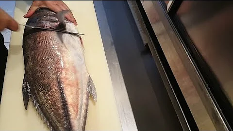 Como limpar o peixe Xaréu branco?