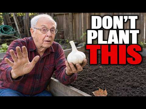 5 Secrets to Growing Garlic That Practically Plants Itself