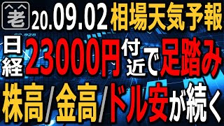 【相場天気予報】アメリカ株高にもかかわらず、日経平均は23000円付近での「足踏み」が続いている。新首相が決まるまで相場は停滞か。トレンドは株高、金高、ドル安だ。この流れに乗れ。ラジオヤジの相場解説。