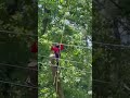 🌳✨ Atlanta, we’re taking tree care to new heights! Literally! 🚀 #atlanta #treeservice #georgia