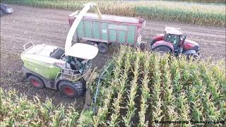 Mais häckseln 2019 | Maschinenring Hannover-Land | Fendt CASE-IH Optum Valtra