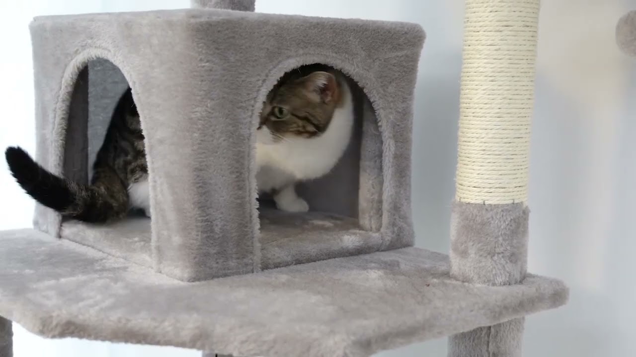 Large Cat Tree and Tower for Indoor Cats With Sisal-Covered Scratching
