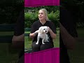 Donosimo interesantne priče poznatih i dragih lica nedjeljom u 18 sati | Pravo vrijeme | Hayat TV