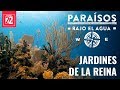 Paraísos bajo el agua. Jardines de la reina