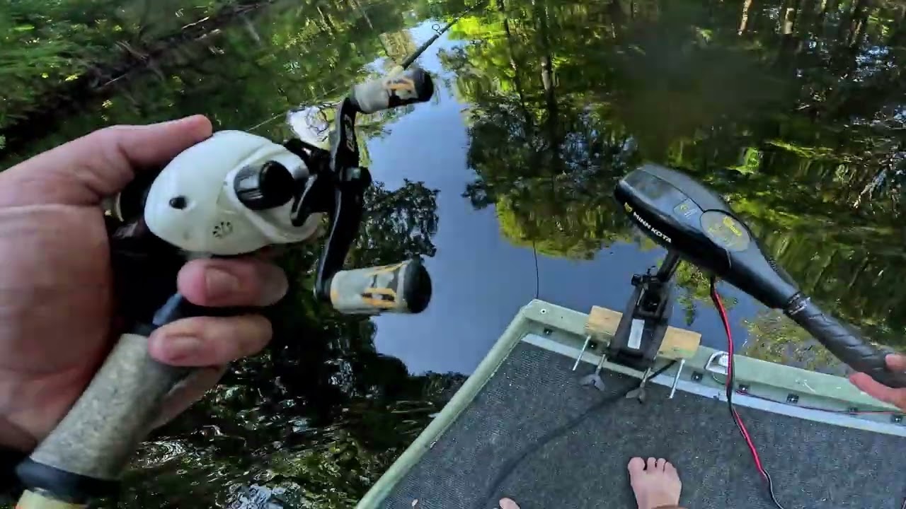 Ocklawaha River Bass Fishing