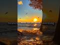 let opportunities,good news,divine connections and unexpected blessings locate me today