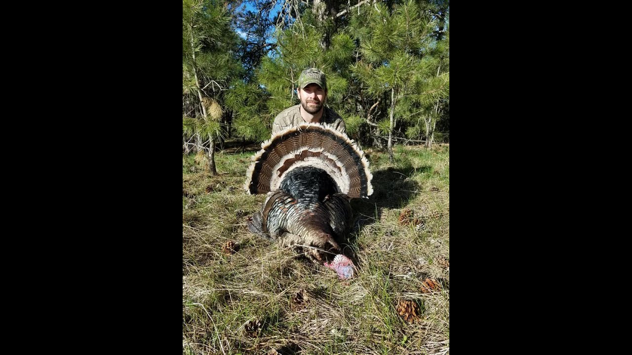 Hunting Public Western Nebraska turkey hunt 2021 movie YouTube