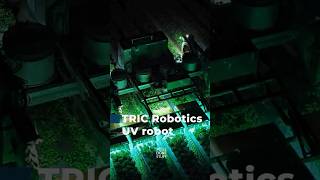 How this robot uses UV light to reduce pesticides on strawberries