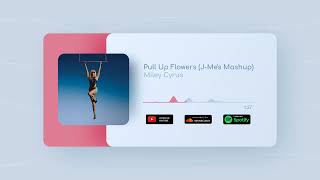 Miley Cyrus & Dj Hanzel - Pull Up Flowers (J - Mes Mashup)